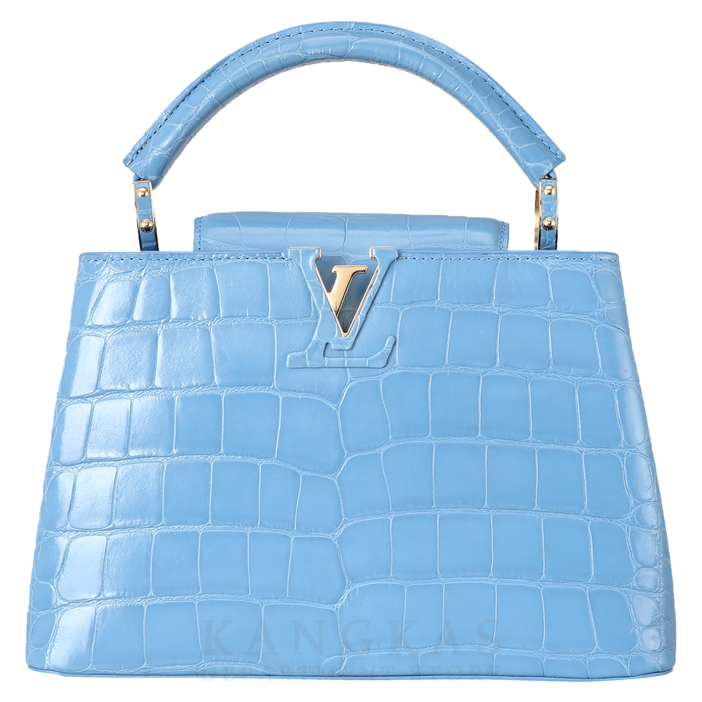 LOUIS VUITTON(USED)루이비통 와니 카퓌신 BB
